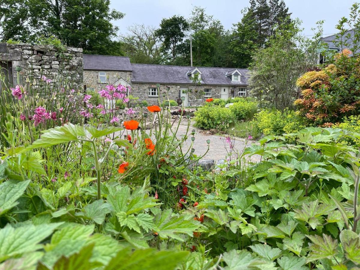 Вилла Crug Yr Eryr Isaf Llandysul Экстерьер фото